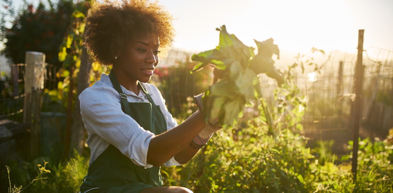 why medical medical doctors are prescribing gardening comparatively than drugs