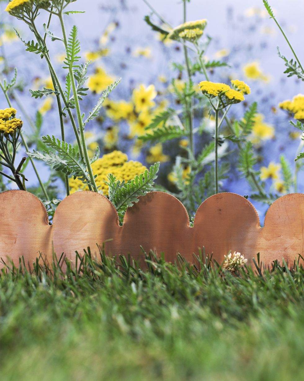 Scalloped terra cotta garden edging scalloped terra cotta garden edging